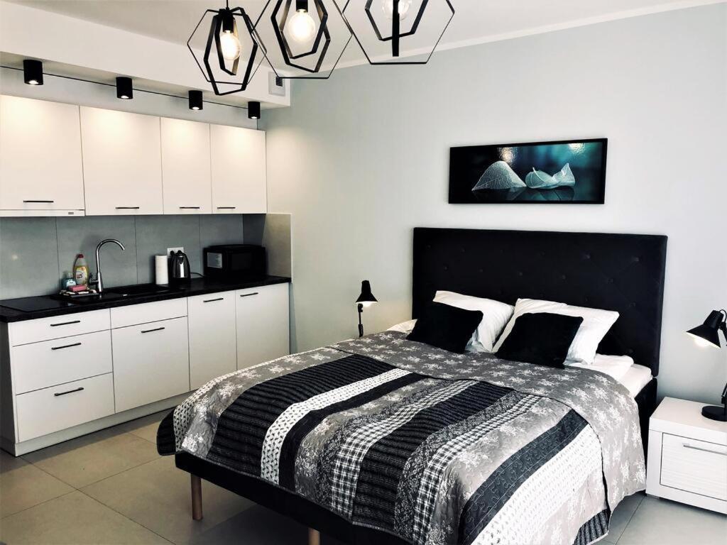 Apartamenty Premium Kasprowicza 20 科沃布热格 外观 照片