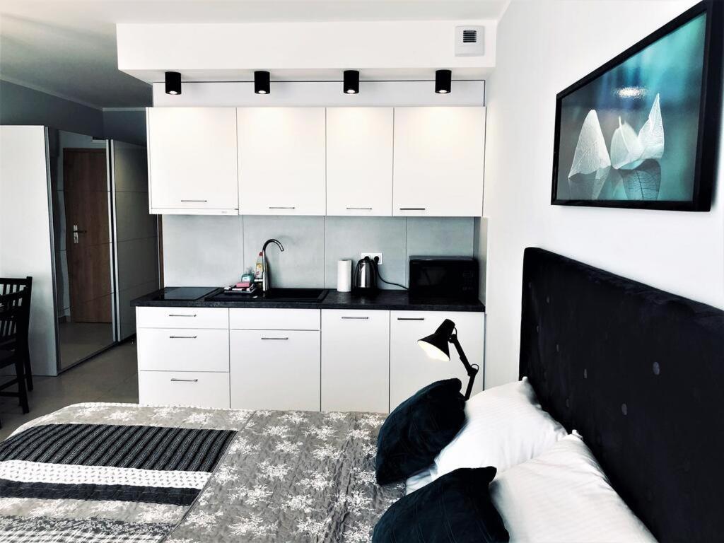 Apartamenty Premium Kasprowicza 20 科沃布热格 外观 照片